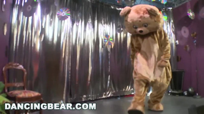 The dancing bear is putting on an incredible show